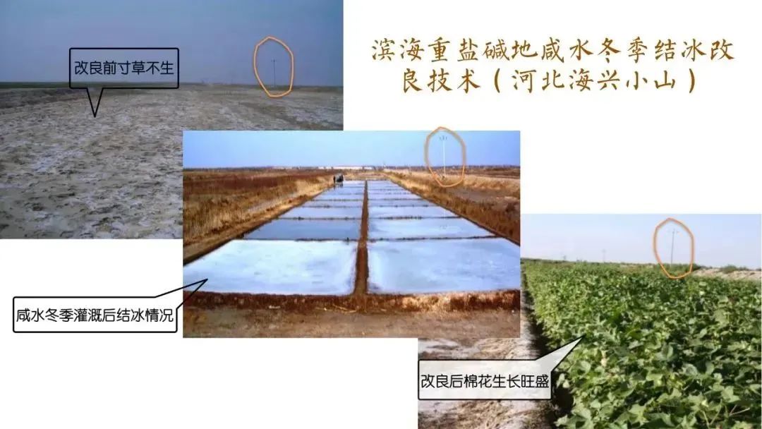 用吸管修复盐碱地好吗使用吸管修复盐碱地可能并不是一个有效的方法。